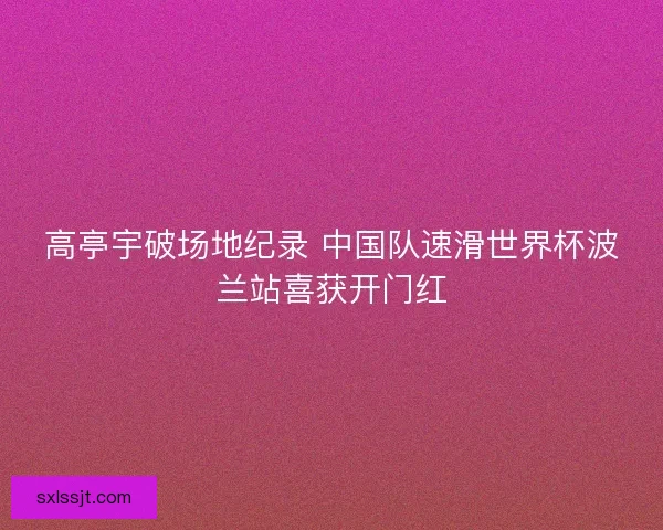 高亭宇破场地纪录 中国队速滑世界杯波兰站喜获开门红